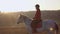 Horsewoman riding a horse in the middle of a field . Slow motion. Side view