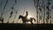 Horsewoman riding on their horse over a meadow sunset . Silhouette. Slow motion. Side view