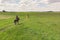 Horsewoman On A Seal Brown Horse Moving Across The Beautiful Dandelion Field