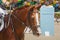 Horsewoman sits on horseback waiting for the competition to start in the background of the grandstands of stadium