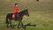 Horsewoman walking on a green field with cows. Slow motion