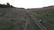 Horsewomen gallop on horseback along a dirt road