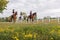 Horsewomen riding horses at the equestrian center on a summer day