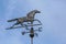 Horsey Weathervane and East Wind