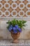 Hortensia flower vase and azulejo wall