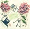 Hortensia flowers vintage scissors photo camera flat lay toned