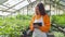 horticulture and gardening like business, portrait of florist woman in greenhouse