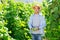 Horticulturist checking crop of bean grown in vegetable garden