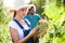 Horticulturist young couple harvesting fresh tomatoes and planning harvest season on a digital tablet in the garden.