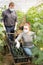 Horticulturists in medical masks harvesting cucumbers