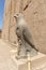 Horus Statue in Edfu Temple, Edfu, Egypt