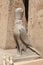 Horus Statue in Edfu Temple, Edfu, Egypt