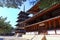 Horyu-ji, a Buddhist temple with world\\\'s oldest wooden building