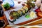 Hosomaki sushi rolls with shrimp and sauce