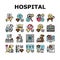 Hospital Pet Health Examination Icons Set Vector