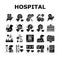Hospital Pet Health Examination Icons Set Vector