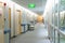 Hospital Ward Hallway