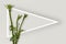 Hosta stems and white triangular frame with copy space on cream background