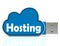 Hosting Memory Stick Means Host Website And Hosted By