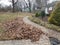 Hosue with stone path and rake and fallen brown leaves