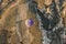 Hot air ballon and Colourful rock formations. Fairy Chimney or Multihead stone mushrooms. Phallic rock in Cappadocia, turkey.