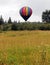 Hot air balloon field trees