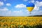 Hot Air Balloon with Flag of Ukraine Fly Over Sunflowers Field. 3d Rendering