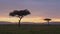 Hot Air Balloon Flight Ride, Flying Over Maasai Mara Savannah Landscape in Africa on Sunrise Balloon