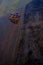 Hot Air Balloon flying over winter fields