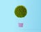 Hot air balloon green bush,grass, idea concept on pastel blue ba