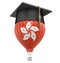 Hot Air Balloon with Hong Kong Flag and Graduation cap