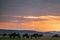 Hot Air Balloon Kenya Landscape Sunrise wildlife Animals Mammals at the savannah grassland wilderness hill shrubs great rift