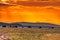 Hot Air Balloon Kenya Landscape Sunrise wildlife Animals Mammals at the savannah grassland wilderness hill shrubs great rift