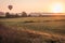 Hot air balloon lifts off over a farm field at sunrise, Pine Island, NY, early fall