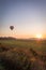 Hot air balloon lifts off over a farm field at sunrise, portrait