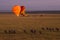 Hot air balloon in the Masai Mara