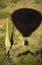 Hot Air Balloon, near Phoenix, Maricopa County, Arizona