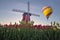 Hot Air Balloon Over Tulip Field