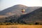 Hot air balloon in Pilanesberg National Park