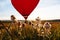 Hot air balloon in the shape of a heart is flying over the flower field at sunset, sunrise