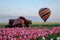 Hot Air Balloon with Tractor