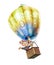 Hot air ballooner