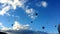 Hot Air Balloons in Beautiful Blue Sky. Albuquerque, NM