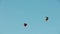Hot air balloons in the blue sky aerostats