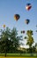 Hot Air Balloons at a city park