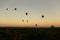 Hot air balloons floating around Burmese pagoda heritage site during sunrise landscape.