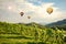 Hot air balloons flying over the vineyards along South Styrian Wine Road, Austria