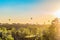 Hot air balloons over the roofs of suburban houses in the light of the low evening sun backlight