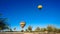 Hot Air Balloons Over Vineyards