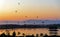 Hot air colorful Balloon flying in the sunrise morning